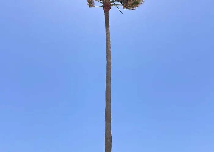 Sol Rio Y Mar - Puerta Del Sol By Babiniliving Caleta De Fuste